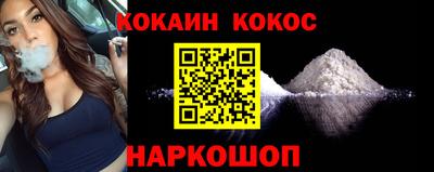 индика Можга