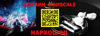индика Можга