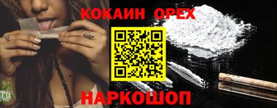 индика Можга