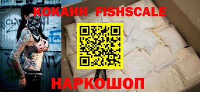 индика Можга