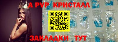 индика Можга
