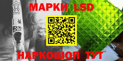 индика Можга