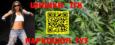 индика Можга