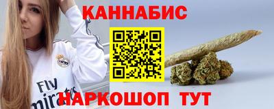 индика Можга