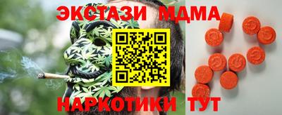 индика Можга