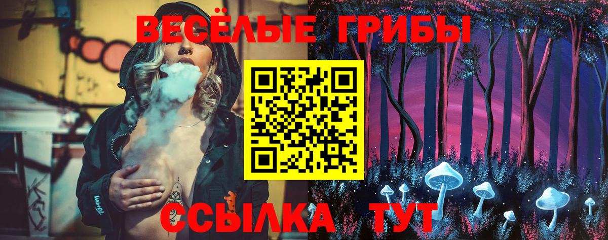 Галлюциногенные грибы Cubensis Тайшет