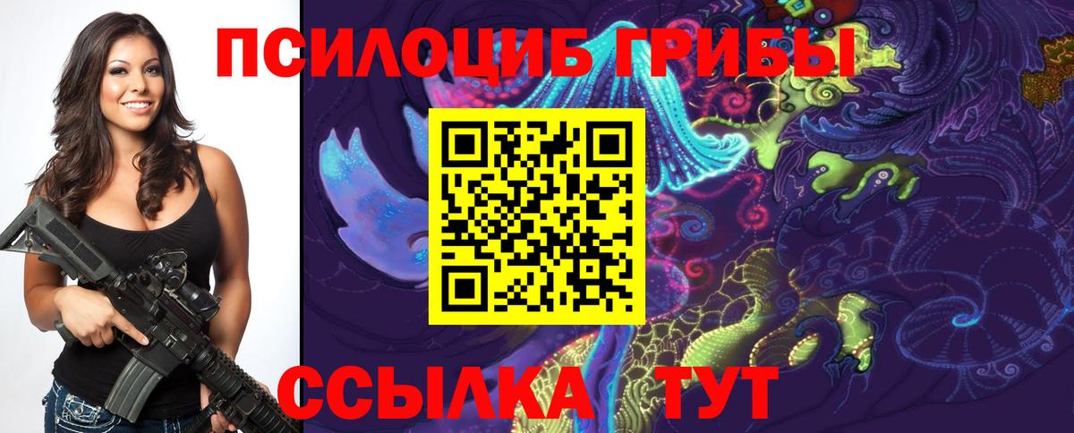 Галлюциногенные грибы MAGIC MUSHROOMS  Вход с VPN  Тайшет 