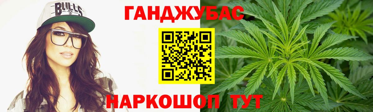 Каннабис планчик Тайшет